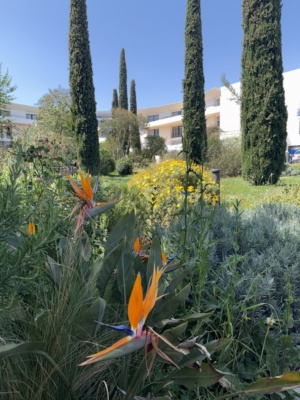 4FE77B55-24A5-4C93-9E6E-710E8E2D7821_1_105_c