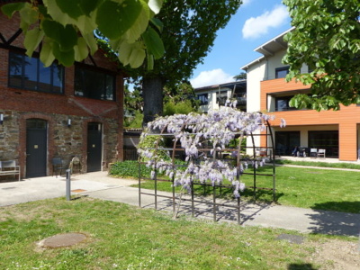 EHPAD Louise Thérèse 2