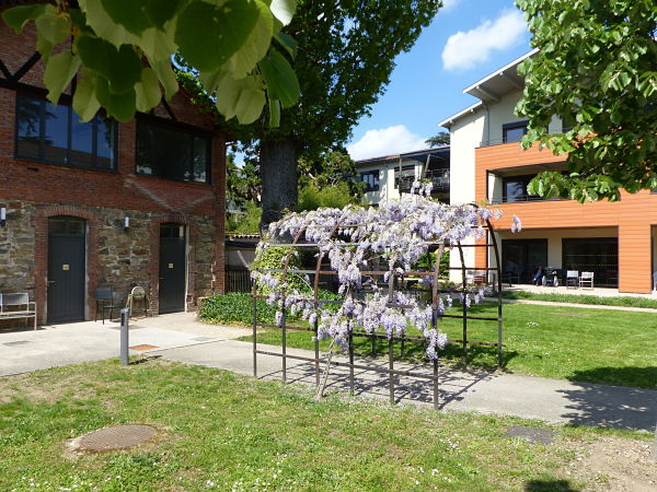 EHPAD Louise Thérèse 2