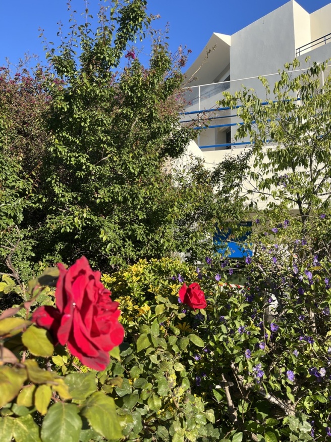 FD0CA55F-9E11-46AE-8A6A-106E8840621E_1_105_c