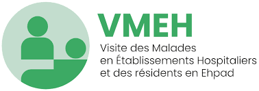 logo VMEH