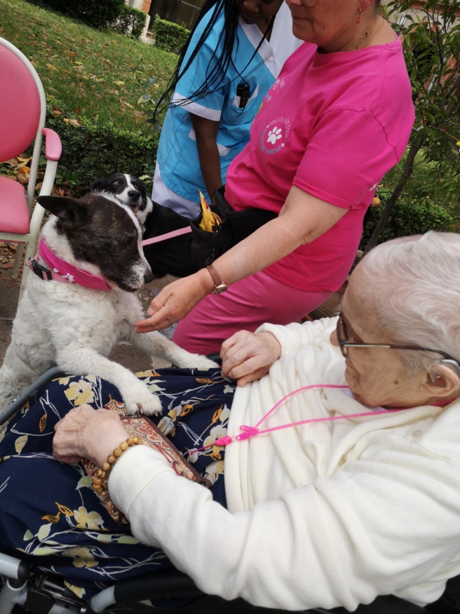 Soeur C et le chien