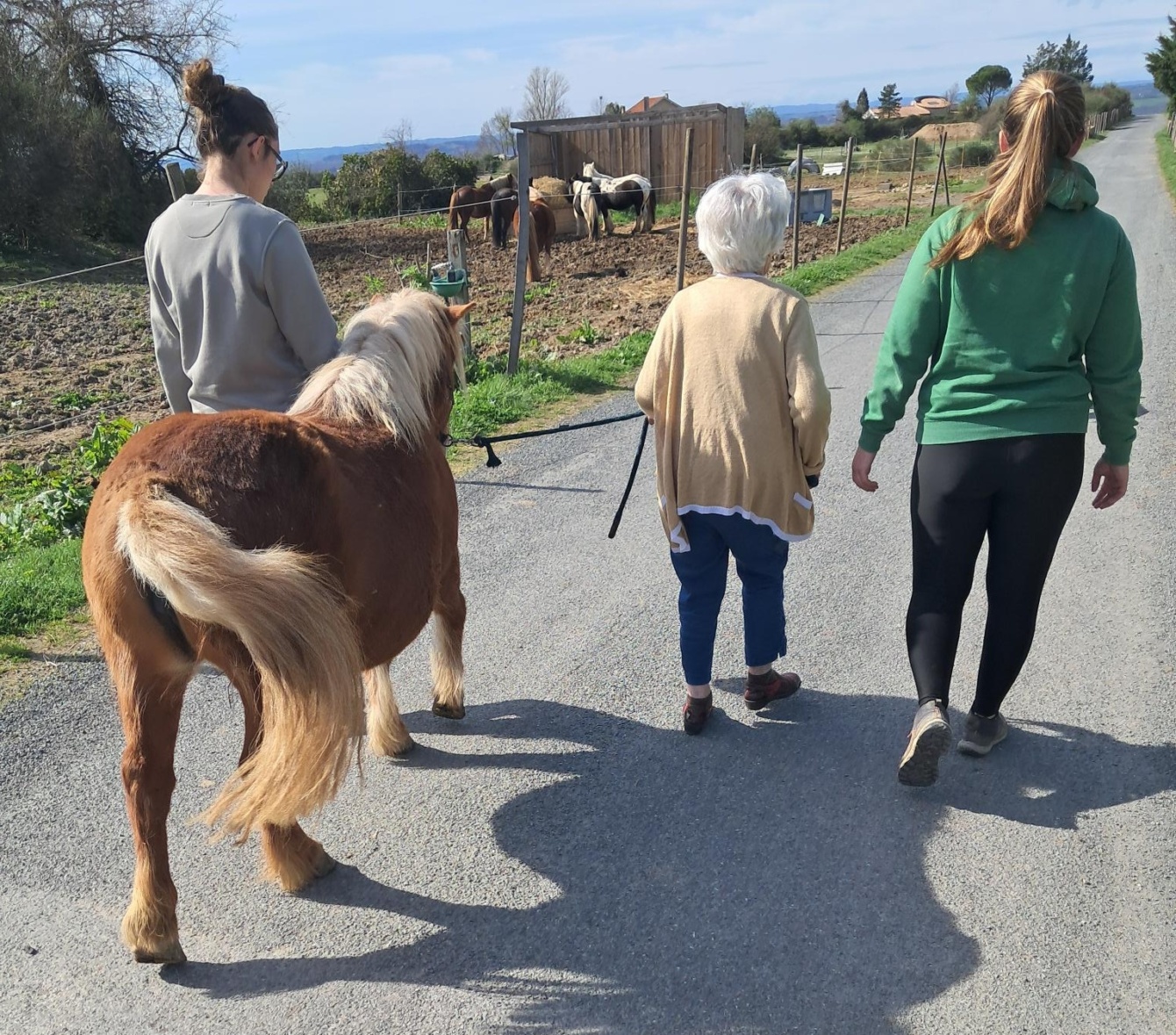 Equitherapie Mars 26 2