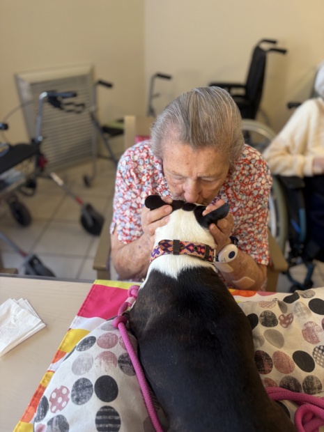 MME LEROUX ANIMAUX